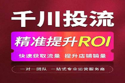 百度搜索推广实战经验：经典案例剖析